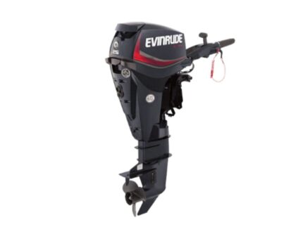 Evinrude E25GTEL E TEC Outboard Motor