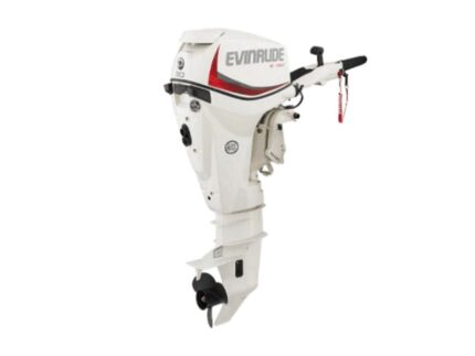 Evinrude E30DRS E TEC Outboard Motor