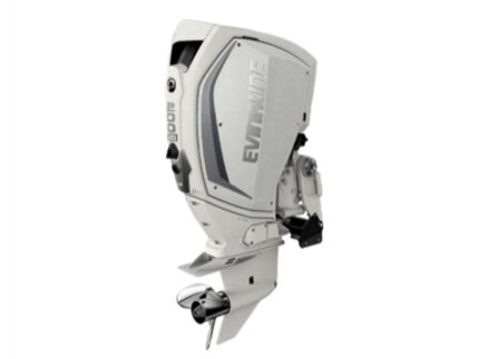 Evinrude H200HWLF 200 HO Outboard Motor