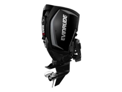 Evinrude H250HGLF 250 HO Outboard Motor