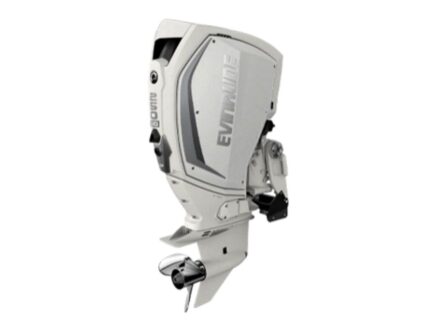 Evinrude H250HWXA 250 HO Outboard Motor